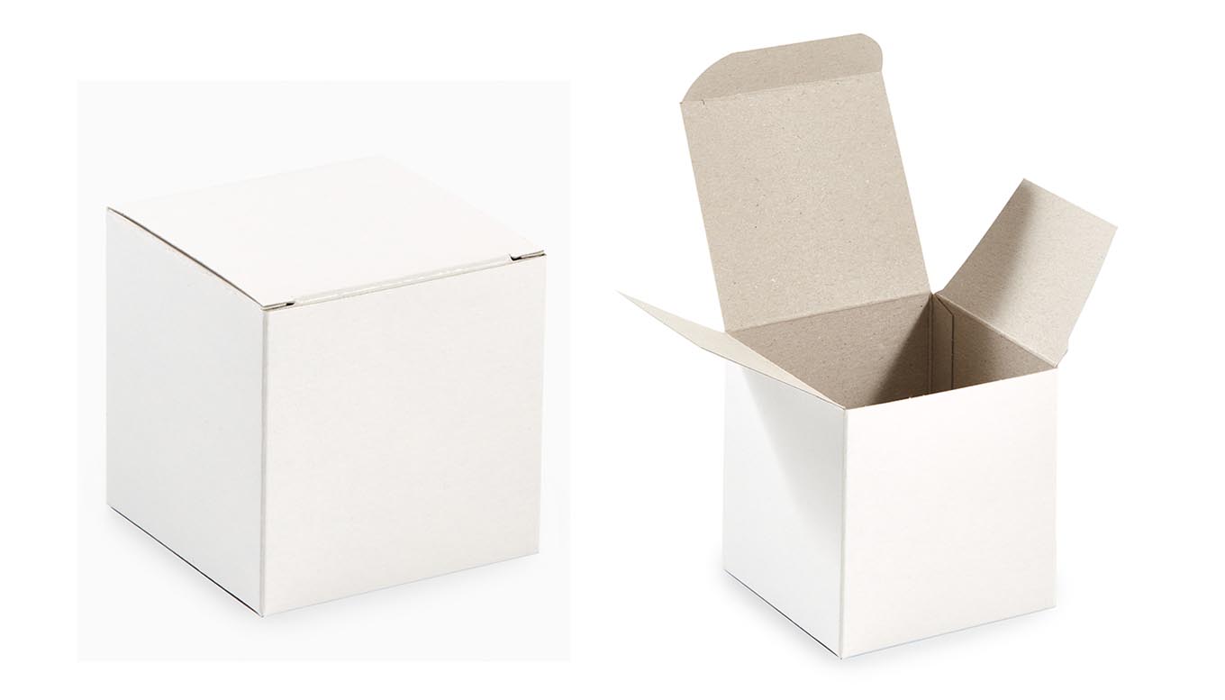 A_Einzelkarton_weiss_singlecarton_white